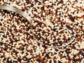 Tablespoon in mix of quinoa seeds close up