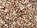 Tablespoon in mix of quinoa seeds closeup