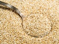 Tablespoon in quinoa seeds close up