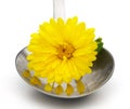 Tablespoon and yellow flower