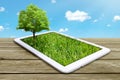 Tablet computer with green grass and tree