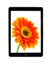 Tablet with flower daisies. Royalty Free Stock Photo