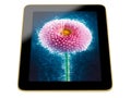 Tablet - flower image