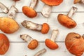 Tabletop photo - fresh forest mushrooms, Red-capped scaber stalk Leccinum aurantiacum / albostipitatum, on white wooden boards