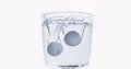 Tablets Falling and Dissolving into a Glass of Water against White Background Royalty Free Stock Photo