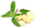 Tablets with medicinal holy basil