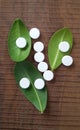 White tablets and green leaves over wooden background symbolizing homeopathy.