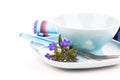 Tableware with blue lobelia flowers and cutlery Royalty Free Stock Photo