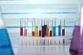 Tablework lab with samples in tubes test scientist Royalty Free Stock Photo