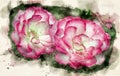 Rosers,digital watercolor painting