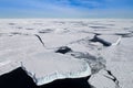 Sea ice in the Weddell Sea