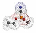 Tabun nerve agent molecule (chemical weapon). Atoms are represented as spheres with conventional color coding: hydrogen (white), Royalty Free Stock Photo