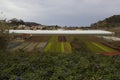 Tacaronte, Spain, November 2017: Rustic landscape. Farmers fields