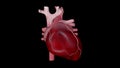 Tachycardia overview