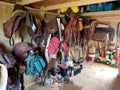 Tack room horses saddles building