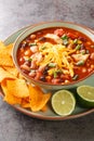 Taco chicken soup served with lime and tortilla chips close-up in a plate. Vertical Royalty Free Stock Photo