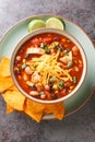 Taco chicken soup served with lime and tortilla chips close-up in a plate. Vertical top view Royalty Free Stock Photo