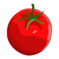 Taco ingredient cartoon tomato. Traditional mexican fast-food. Mexico food design element for menu, advertising. Vector