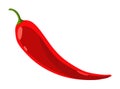 Taco ingredient red chilli pepper. Traditional mexican fast-food. Mexico food design element for menu, advertising