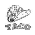 Taco. Mexican traditional food vector hand drawn illustration, menu label, banner poster identity, branding. Stylish design with Royalty Free Stock Photo