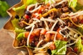 Taco Salad in a Tortilla Bowl Royalty Free Stock Photo