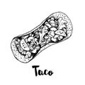 Taco top view. Sketch style hand drawn illustration of traditional mexican fast food. Best for restaurant menu and packaging desig