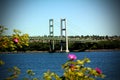 Tacoma Narrows Bridge Royalty Free Stock Photo
