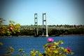 Tacoma Narrows Bridge