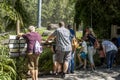 Tacoma, WA USA - circa August 2021: View of adults and children viewing an exhibit at the Point Defiance Zoo on a bright, sunny