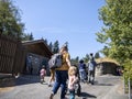 Tacoma, WA USA - circa August 2021: View of families walking around, enjoying a sunny day at the Point Defiance Zoo Park