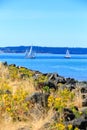 Tacoma waterfront with panoramic view Royalty Free Stock Photo