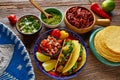 Tacos al pastor Mexican with coriander pineapple Royalty Free Stock Photo