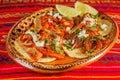 Tacos al pastor mexican spicy food in mexico city Royalty Free Stock Photo