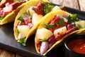 Tacos al pastor served with sauce closeup on a plate. horizontal Royalty Free Stock Photo