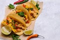 Traditional Mexican tacos with meat Royalty Free Stock Photo