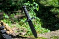 Tactical army knife stuck in a tree in a forest Royalty Free Stock Photo