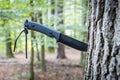 Tactical army knife stuck in a tree stump Royalty Free Stock Photo