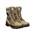 Tactical boots color