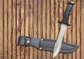 Tactical Combat Hunting Survival Sawback Bowie Knife With Black Leather Sheath On Old Knotted Pinewood Background