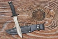 Tactical Combat Hunting Survival Sawback Bowie Knife With Black Leather Sheath Set On Old Cracked Knotted Rustic Pinewood Backgrou