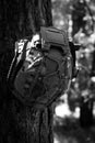 ilitary tactical helmet with a camouflage pattern hangs from a tree branch in a forest setting. Royalty Free Stock Photo