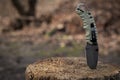 Tactical knife stuck in a tree stump in a forest Royalty Free Stock Photo
