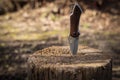 Tactical knife stuck in a tree stump in a forest Royalty Free Stock Photo