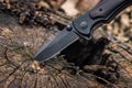 Tactical knife stuck in a tree stump in a forest Royalty Free Stock Photo