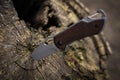 Tactical knife stuck in a tree stump in a forest Royalty Free Stock Photo