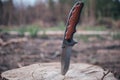 Tactical knife for survival and protection difficult conditions, stuck in the stump sawn tree in forest Royalty Free Stock Photo