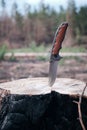Tactical knife for survival and protection difficult conditions, stuck in the stump sawn tree in forest Royalty Free Stock Photo