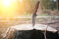 Tactical knife for survival and protection difficult conditions, stuck in the stump sawn tree in forest Royalty Free Stock Photo