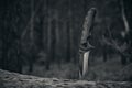 Tactical knife for survival and protection difficult conditions stuck into trunk tree in forest.Black and white Royalty Free Stock Photo