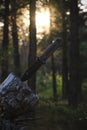 Tactical tourist knife stuck into tree stump against background sunset in forest. Royalty Free Stock Photo